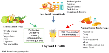 Graphical abstract: Association between the quality of plant-based diets and risk of thyroid dysfunction