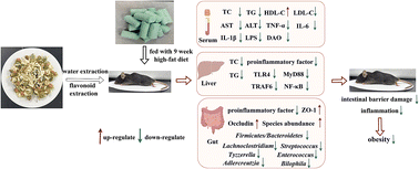 Graphical abstract: Chrysanthemum extract mitigates high-fat diet-induced inflammation, intestinal barrier damage and gut microbiota disorder