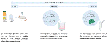 Graphical abstract: Investigating the hypoglycaemic potential of processed apple and acarbose combination in vitro, ex vivo, and in vivo: the role of quercetin-3-glucoside in steering α-glucosidase inhibition
