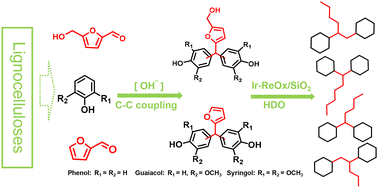 Graphical abstract: Selective production of bicyclic alkanes as high-density fuel additives by coupling lignocellulose-derived furanics and phenolics