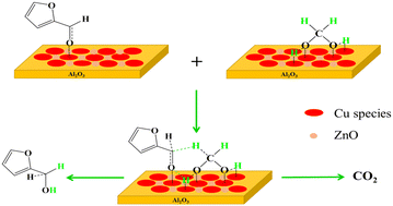 Graphical abstract: Mild and selective transfer hydrogenation of biomass-derived furfural to furfuryl alcohol over Cu/ZnO/Al2O3 with methanediol as the hydrogen donor