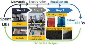 Graphical abstract: Comprehensive recycling of spent lithium-ion battery cathodes and anodes via a targeted electrochemical redox process