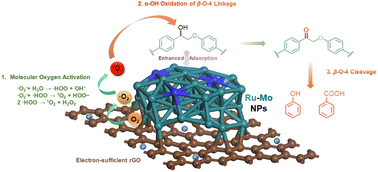 Graphical abstract: Boosting the catalytic performance of Ru nanoparticles in the cleavage of β-O-4 linkages in lignin by doping Mo