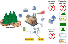 Graphical abstract: Design of an integrated biorefinery for bioethylene production from industrial forest byproducts