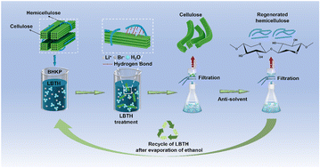 Graphical abstract: Efficient fractionation of pure hemicellulose with high DP from bleached hardwood pulp using LiBr·3H2O and co-production of dissolving pulp
