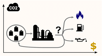 Graphical abstract: Superstructure optimization for management of low-density polyethylene plastic waste