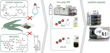 Graphical abstract: Comprehensive two-step supercritical fluid extraction for green isolation of volatiles and phenolic compounds from plant material