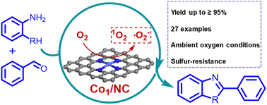 Graphical abstract: An atomically dispersed Co catalyst for efficient oxidative fabrication of benzoheterocycles under ambient oxygen conditions