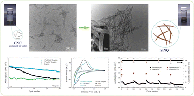 Graphical abstract: Bioderived silicon nano-quills: synthesis, structure and performance in lithium-ion battery anodes