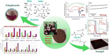 Graphical abstract: Sustainable valorization of cherry (Prunus avium L.) pomace waste via the combined use of (NA)DESs and bio-ILs