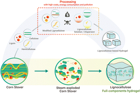 Graphical abstract: Lignocellulosic full-components hydrogelation using steam-exploded corn stover