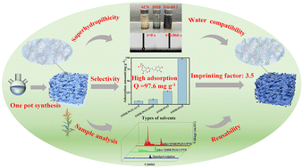 Graphical abstract: Green synthesis of water-compatible molecularly imprinted resin on graphene oxide for highly selective extraction of chlorogenic acid in aqueous systems