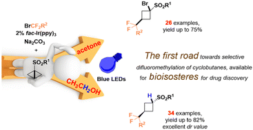 Graphical abstract: Photochemical selective difluoroalkylation reactions of bicyclobutanes: direct sustainable pathways to functionalized bioisosteres for drug discovery