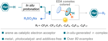 Graphical abstract: An in situ generated proton initiated aromatic fluoroalkylation via electron donor–acceptor complex photoactivation