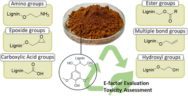 Graphical abstract: From waste to resource: advancements in sustainable lignin modification