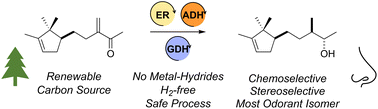 Graphical abstract: Biocatalytic approaches for a more sustainable synthesis of sandalwood fragrances