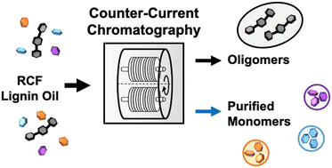 Graphical abstract: Counter-current chromatography for lignin monomer–monomer and monomer–oligomer separations from reductive catalytic fractionation oil