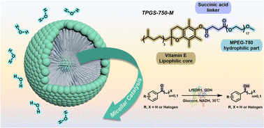 Graphical abstract: Enzymatic reduction of halogenated aryl ketones in an aqueous micellar solution with enhanced catalytic performance