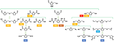 Graphical abstract: Beyond 2,5-furandicarboxylic acid: status quo, environmental assessment, and blind spots of furanic monomers for bio-based polymers