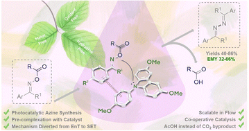 Graphical abstract: A hydrazine-free photoredox catalytic synthesis of azines by reductive activation of readily available oxime esters