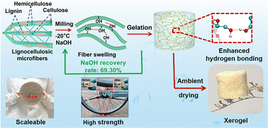 Graphical abstract: Facile preparation of lignocellulosic xerogels by alkali freezing and ambient drying