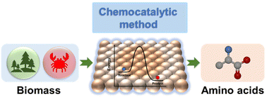 Graphical abstract: A perspective on renewable production of amino acids from biomass through the chemocatalytic method