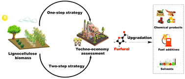 Graphical abstract: Furfural production from lignocellulosic biomass: one-step and two-step strategies and techno-economic evaluation