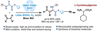 Graphical abstract: Ethanol-assisted mechanochemical asymmetric cross-dehydrogenative coupling reaction with recoverable chiral amine/NaCl for accessing chiral α-alkyl α-glycine derivatives