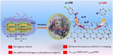 Graphical abstract: Yeast-derived N, P co-doped porous green carbon materials as metal-free catalysts for selective hydrogenation of chloronitrobenzene