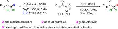 Graphical abstract: Photocatalytic organosulfur reagent-promoted selective mono-(deutero)hydrodechlorination