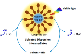 Graphical abstract: Visible-light-induced aerobic oxidation of alcohols to aldehydes/ketones via solvated dispersion intermediates