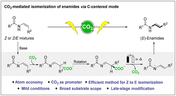 Graphical abstract: CO2-mediated isomerization of enamides