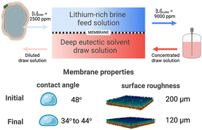 Graphical abstract: Liquid mining of lithium from brines using a hybrid forward osmosis – freeze concentration process driven by green deep eutectic solvents