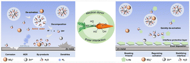 Graphical abstract: Bio-inspired hydroxyl-rich electrolyte additive for highly reversible aqueous Zn-ion batteries with strong coordination chemistry