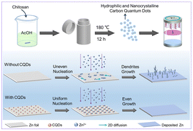 Graphical abstract: Hydrophilic and nanocrystalline carbon quantum dots enable highly reversible zinc-ion batteries