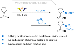 Graphical abstract: Electrochemical direct α-amidation and α-pyrazolation of N-alkoxy- and N-aryloxycarbonyl pyrrolidines