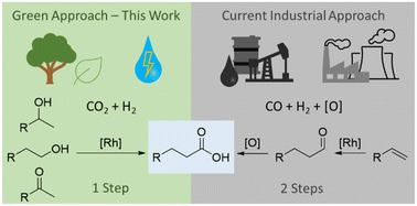 Graphical abstract: Catalytic synthesis of carboxylic acids from oxygenated substrates using CO2 and H2 as C1 building blocks