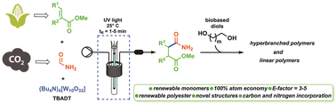 Graphical abstract: Incorporation of renewable carbons via formamide reactivity for the production of novel biobased polymers