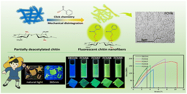 Graphical abstract: Efficient preparation of fluorescent nanomaterials derived from chitin via a modification-first strategy assisted by click chemistry