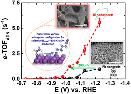 Graphical abstract: Efficient and selective electrosynthesis of adiponitrile by electrohydrodimerization of acrylonitrile over a bismuth nanosheet modified electrode