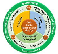 Graphical abstract: A review on sustainable iron oxide nanoparticles: syntheses and applications in organic catalysis and environmental remediation