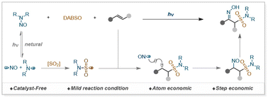 Graphical abstract: Photo-mediated radical relay oximinosulfonamidation of alkenes with N-nitrosamines triggered by DABSO