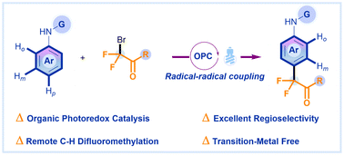 Graphical abstract: Direct remote Csp2–H transformation of aromatic amines enabled by organophotoredox catalysis