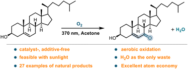 Graphical abstract: Selective C(sp3)–H bond aerobic oxidation enabled by a π-conjugated small molecule-oxygen charge transfer state