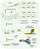 Graphical abstract: Novel diacid–superbase ionic liquids for efficient dissolution of cellulose and simultaneous preparation of multifunctional cellulose materials