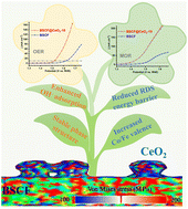 Graphical abstract: A novel Ba0.5Sr0.5Co0.8Fe0.2O3−δ and CeO2 hybrid electrocatalyst for both the oxygen evolution and methanol oxidation reactions