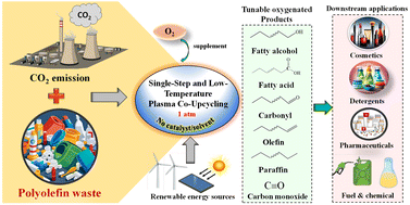 Graphical abstract: Non-equilibrium plasma co-upcycling of waste plastics and CO2 for carbon-negative oleochemicals
