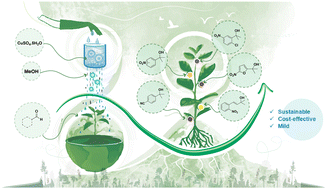 Graphical abstract: Copper catalyzed direct C–H double methylation of aromatic aldehydes employing methanol as an alkylating agent