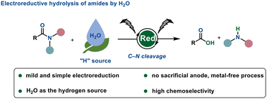 Graphical abstract: Highly selective hydrolysis of amides via electroreduction