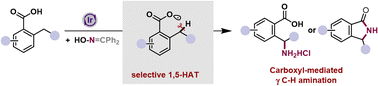 Graphical abstract: Radical cascade synthesis of γ-amino acids or γ-lactams via carboxyl-mediated intramolecular C–H amination